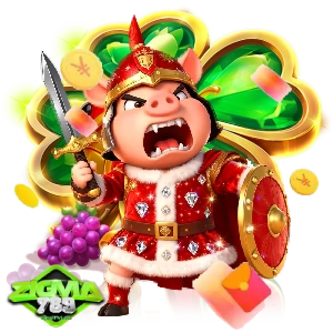 zigma789ใหม่